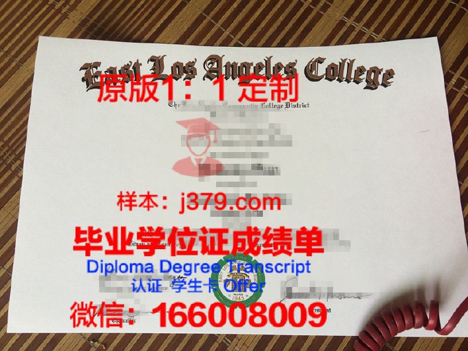 洛杉矶电影学院学位证书(电影学院洛杉矶分校)