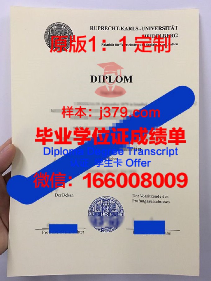 海德堡大学的毕业证都能做(海德堡大学的毕业证都能做什么工作)