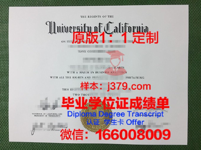 纽约州立大学阿尔巴尼分校的毕业证都能做(纽约州立大学奥尔巴尼分校学费)