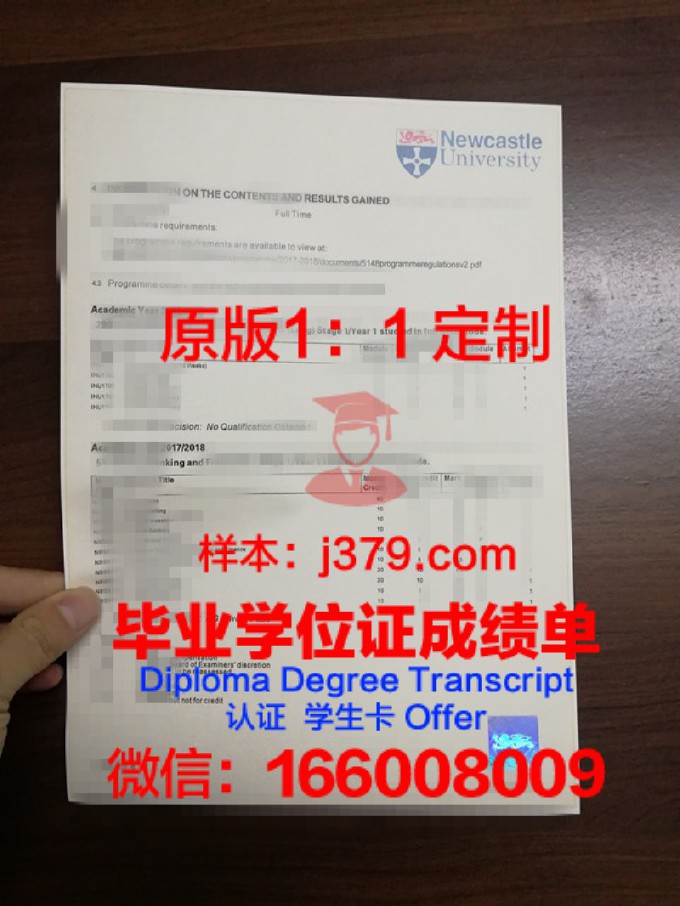 滨海大学成绩单(滨海大学成绩单查询)