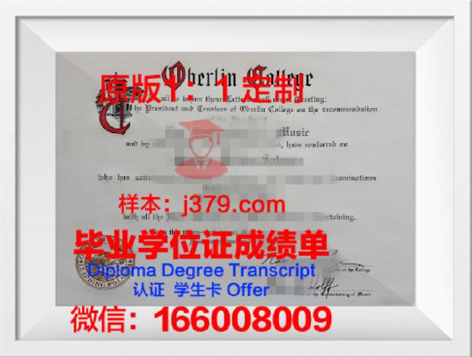 柏林工程与经济应用技术大学毕业证书模板(柏林工程与经济应用技术大学毕业证书模板图)