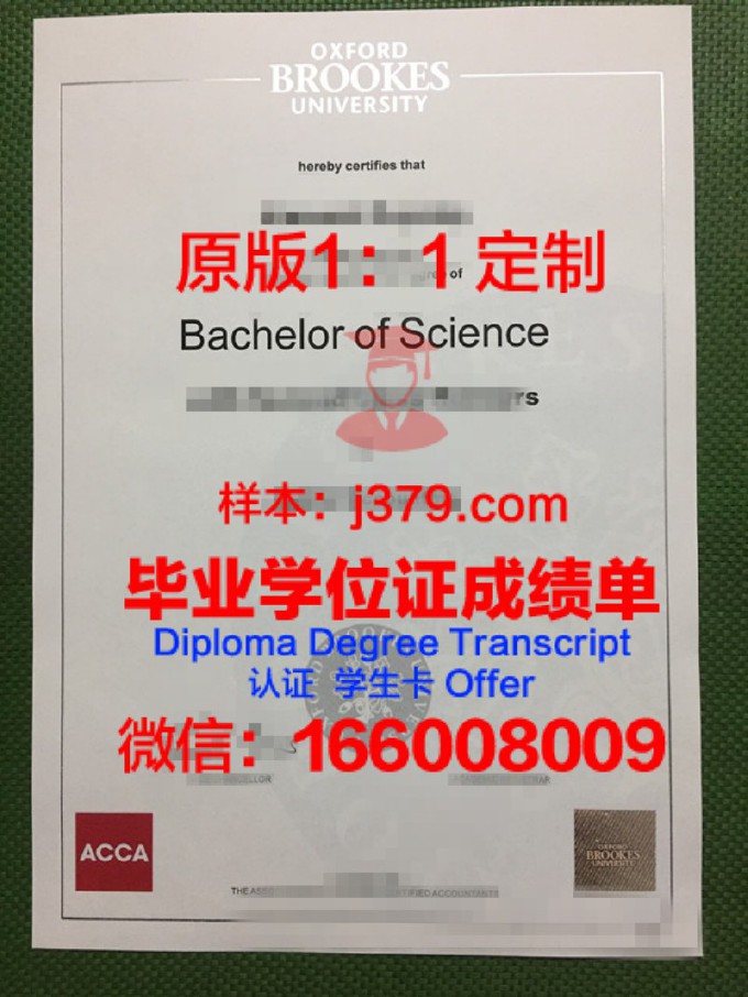 牛津布鲁克斯大学毕业证书模板(牛津布鲁克斯大学学位证书)