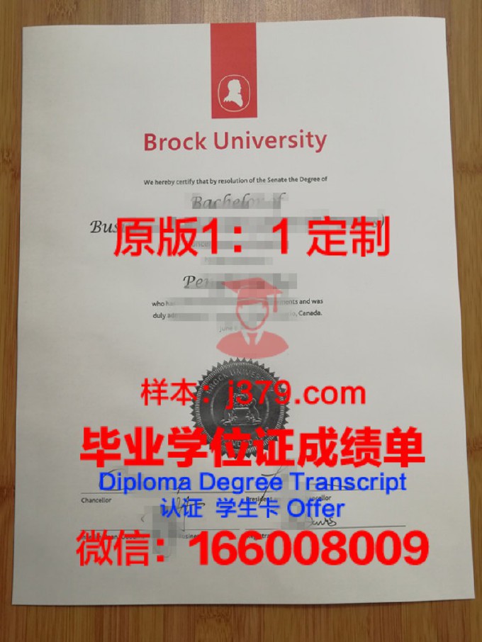 纽约市立大学布鲁克林学院的毕业证啥样(纽约大学布鲁克林分校)