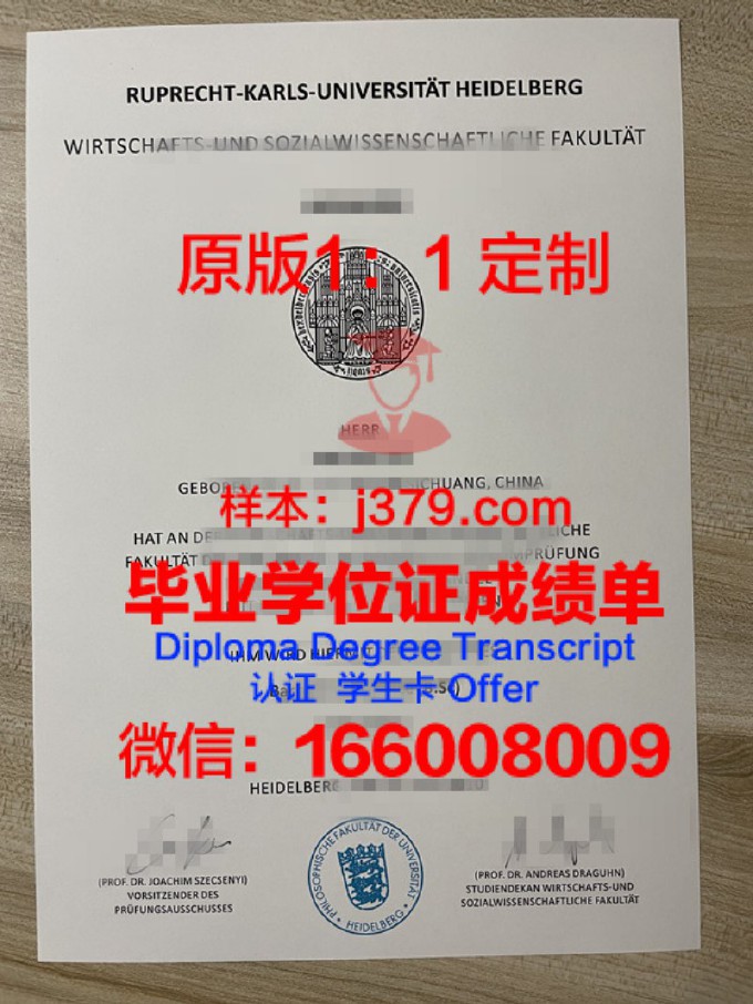 海德堡大学的毕业证都能做(海德堡大学的毕业证都能做什么工作)