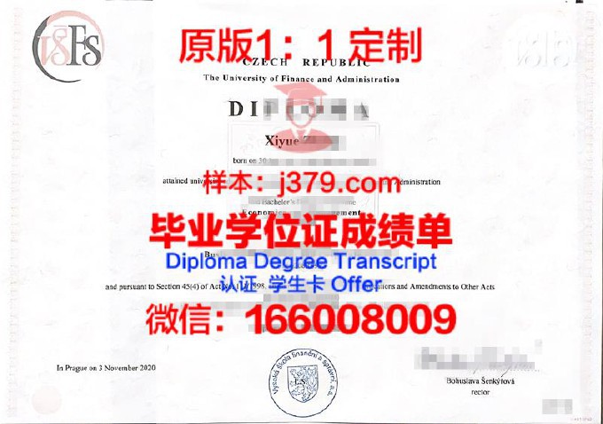 金融与管理大学diploma证书(金融管理本科学校)