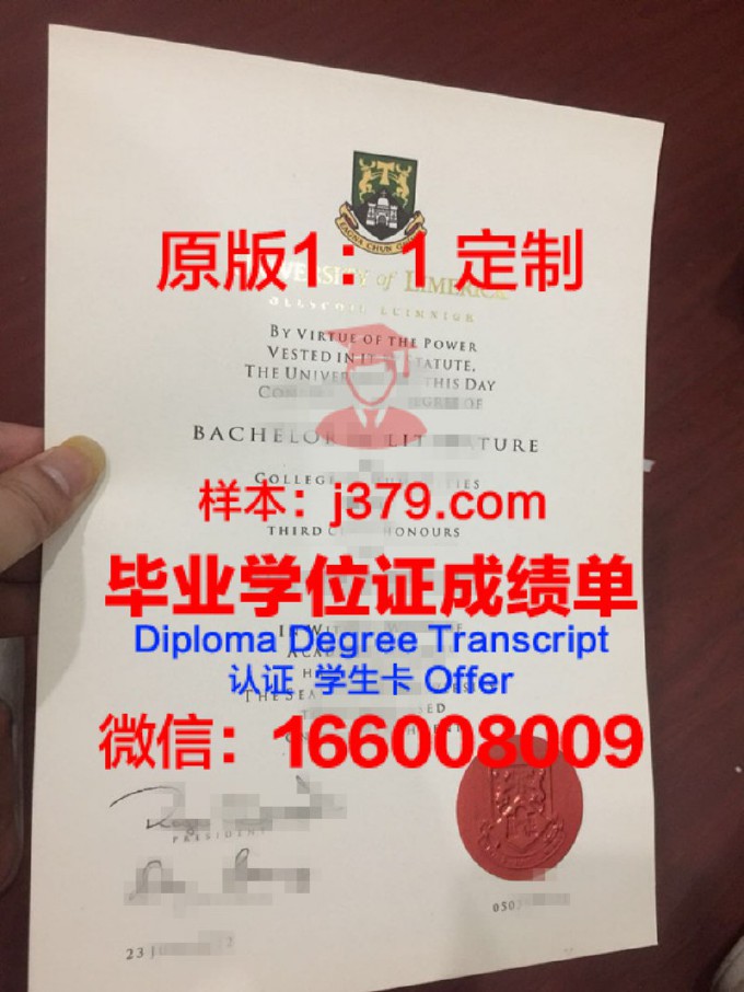 利默里克大学diploma证书(利默里克大学医学院建筑分析)