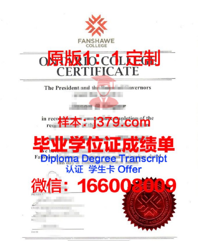 瓦萨尔学院diploma证书(瓦萨学院什么水平)