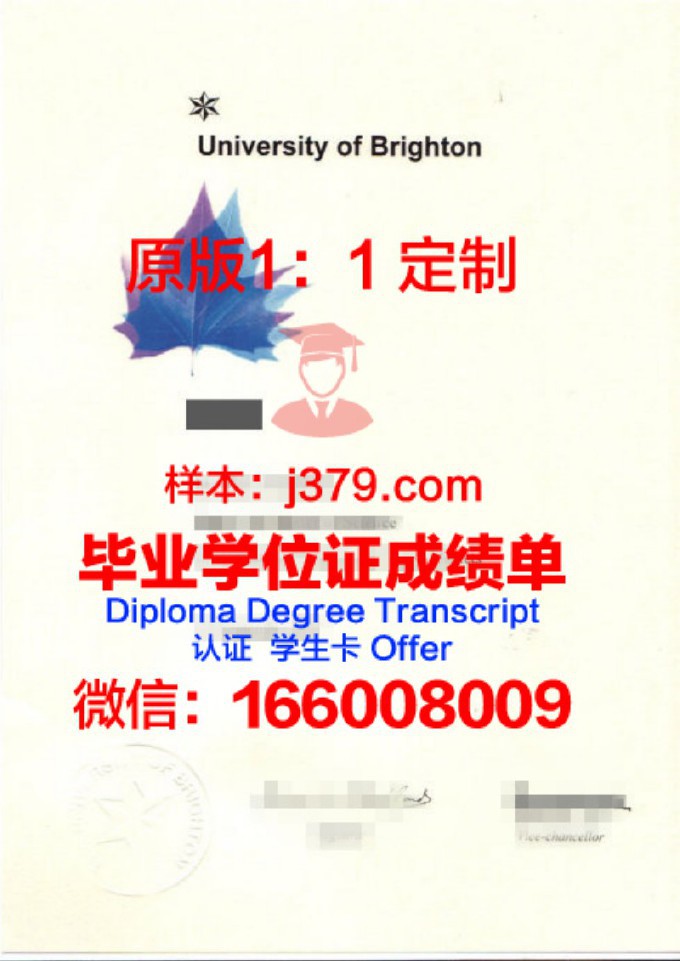 布莱顿大学本科毕业证(布莱顿大学证书)