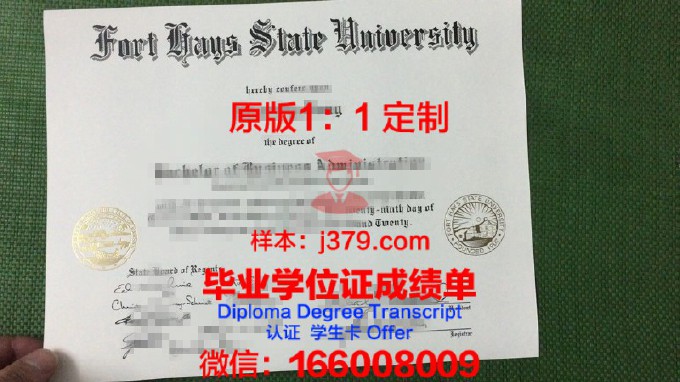 奥斯堡大学diploma证书(奥斯陆大学本科申请)