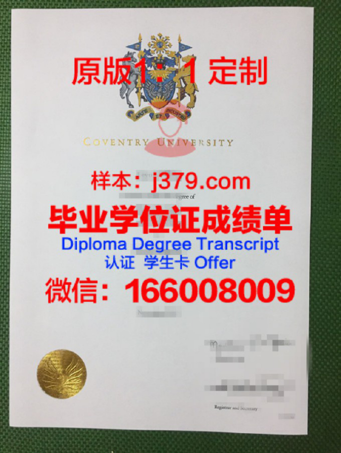 永恒大学录取通知书 OFFER 定制——开启人生新篇章