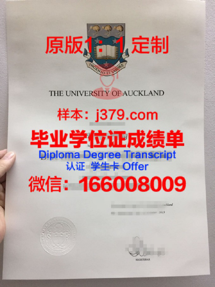 奥克兰大学博士奖学金与offer的发放流程解析