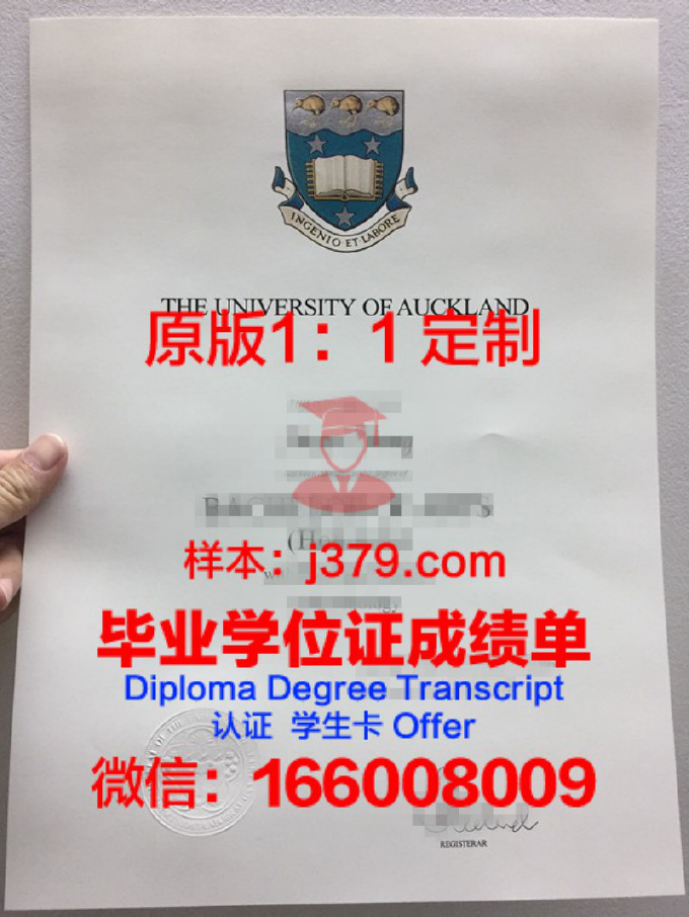 奥克兰大学博士奖学金与offer的发放流程解析