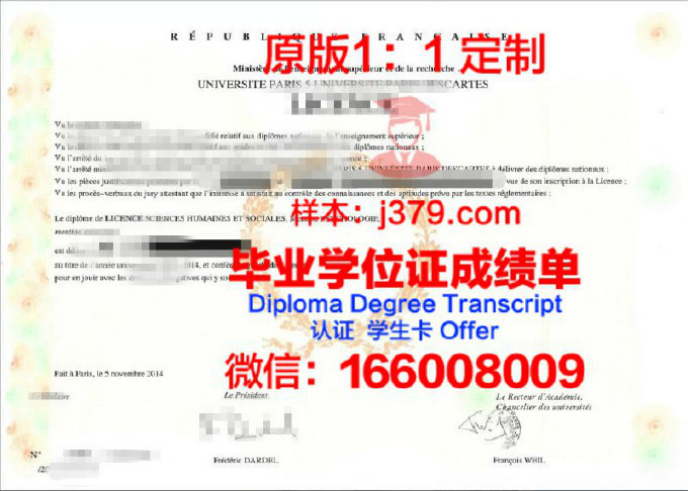 巴黎大学学位文凭定制：教育领域的独特现象